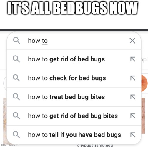 IT'S ALL BEDBUGS NOW | made w/ Imgflip meme maker