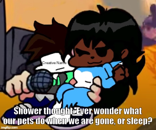 Cloud_Name | Shower thought: Ever wonder what our pets do when we are gone, or sleep? | image tagged in cloud_name | made w/ Imgflip meme maker