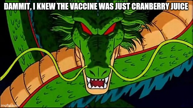 DBZ Shenron | DAMMIT, I KNEW THE VACCINE WAS JUST CRANBERRY JUICE | image tagged in dbz shenron | made w/ Imgflip meme maker