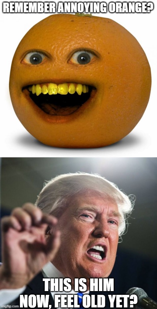 REMEMBER ANNOYING ORANGE? THIS IS HIM NOW, FEEL OLD YET? | image tagged in annoying orange,donald trump | made w/ Imgflip meme maker