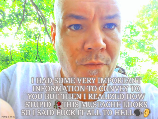 Stupid mustache | I HAD SOME VERY IMPORTANT INFORMATION TO CONVEY TO YOU BUT THEN I REALIZED HOW STUPID 🥀THIS MUSTACHE LOOKS SO I SAID FUCK IT ALL TO HELL🗣🦻 | image tagged in seriously face | made w/ Imgflip meme maker