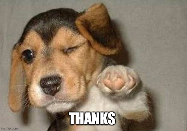 Winking Dog | THANKS | image tagged in winking dog | made w/ Imgflip meme maker