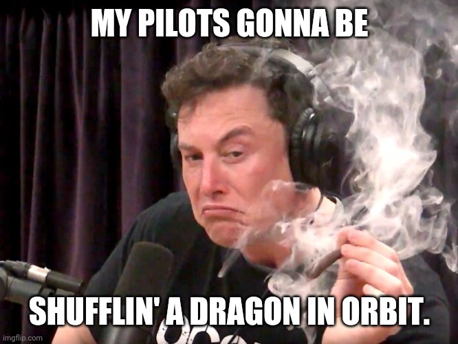 Elon Musk Weed | MY PILOTS GONNA BE SHUFFLIN' A DRAGON IN ORBIT. | image tagged in elon musk weed | made w/ Imgflip meme maker