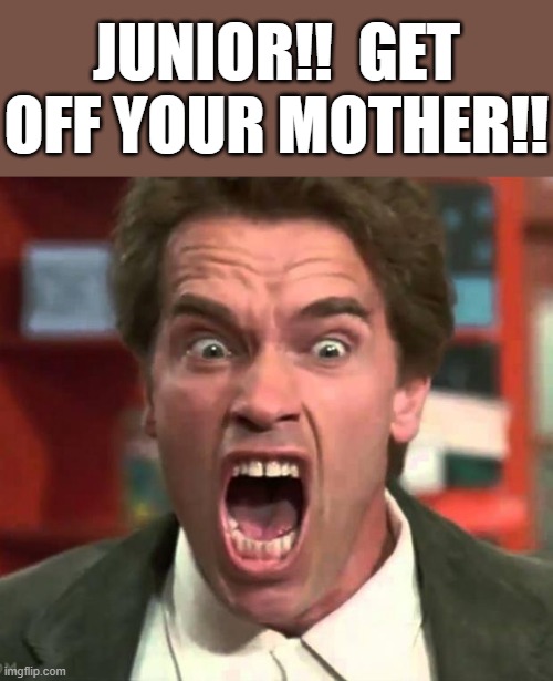 Arnold yelling | JUNIOR!!  GET OFF YOUR MOTHER!! | image tagged in arnold yelling | made w/ Imgflip meme maker