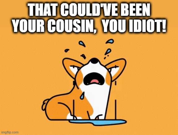 THAT COULD'VE BEEN YOUR COUSIN,  YOU IDIOT! | made w/ Imgflip meme maker