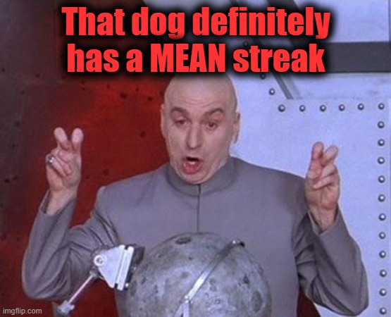 Dr Evil Laser Meme | That dog definitely has a MEAN streak | image tagged in memes,dr evil laser | made w/ Imgflip meme maker