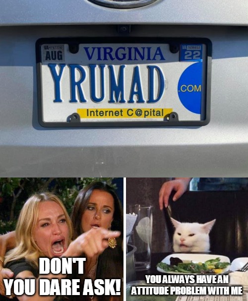 DON'T YOU DARE ASK! YOU ALWAYS HAVE AN ATTITUDE PROBLEM WITH ME | image tagged in smudge the cat,memes,license plate | made w/ Imgflip meme maker