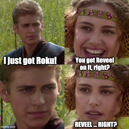 You got Reveel, right? | You got Reveel on it, right? I just got Roku! REVEEL ... RIGHT? | image tagged in anakin padme 4 panel | made w/ Imgflip meme maker