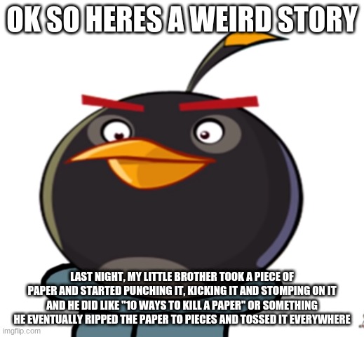 bruh | OK SO HERES A WEIRD STORY; LAST NIGHT, MY LITTLE BROTHER TOOK A PIECE OF PAPER AND STARTED PUNCHING IT, KICKING IT AND STOMPING ON IT
AND HE DID LIKE "10 WAYS TO KILL A PAPER" OR SOMETHING
HE EVENTUALLY RIPPED THE PAPER TO PIECES AND TOSSED IT EVERYWHERE | image tagged in bruh | made w/ Imgflip meme maker