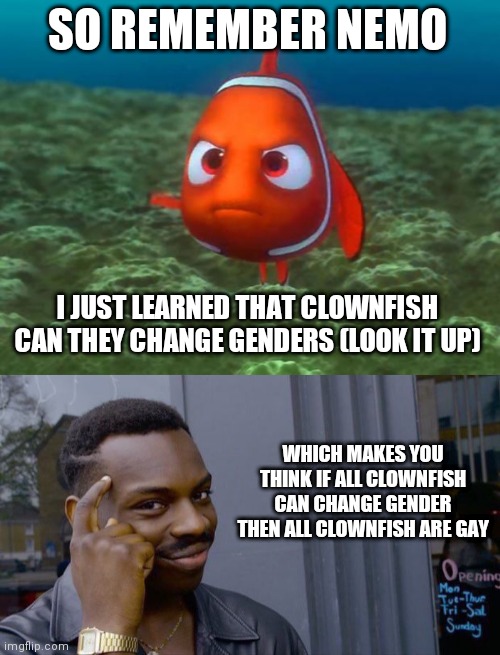 All clownfish are gay |  SO REMEMBER NEMO; I JUST LEARNED THAT CLOWNFISH CAN THEY CHANGE GENDERS (LOOK IT UP); WHICH MAKES YOU THINK IF ALL CLOWNFISH CAN CHANGE GENDER THEN ALL CLOWNFISH ARE GAY | image tagged in nemo,memes,roll safe think about it,funny,gay | made w/ Imgflip meme maker