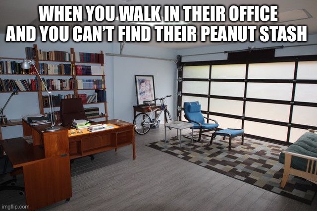 The Missing Peanut | WHEN YOU WALK IN THEIR OFFICE AND YOU CAN’T FIND THEIR PEANUT STASH | image tagged in allergies,peanut,garage,computer,fridge,medication | made w/ Imgflip meme maker