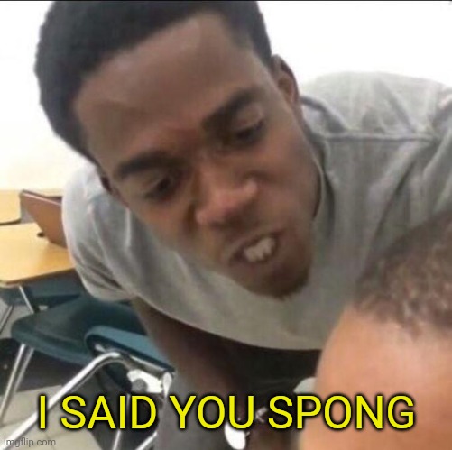 I said we sad today | I SAID YOU SPONG | image tagged in i said we sad today | made w/ Imgflip meme maker