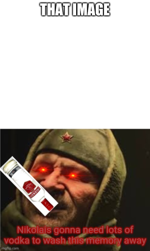 Nikolai needs vodka | THAT IMAGE | image tagged in nikolai needs vodka | made w/ Imgflip meme maker