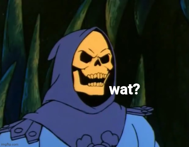 Skeletor WAT? | wat? | image tagged in skeletor wat | made w/ Imgflip meme maker