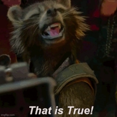 that is true rocket | image tagged in that is true rocket | made w/ Imgflip meme maker