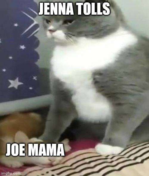 Big cat stomping small cat | JENNA TOLLS JOE MAMA | image tagged in big cat stomping small cat | made w/ Imgflip meme maker