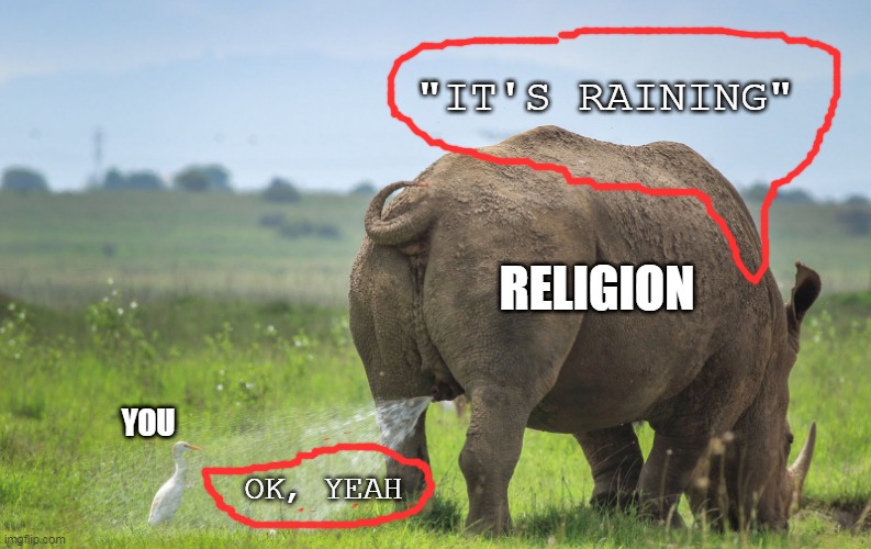 Rhino pissing on a bird | "IT'S RAINING"; RELIGION; YOU; OK, YEAH | image tagged in rhino pissing on a bird | made w/ Imgflip meme maker