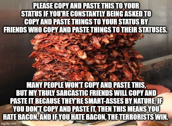 terrorist hate bacon | PLEASE COPY AND PASTE THIS TO YOUR STATUS IF YOU'RE CONSTANTLY BEING ASKED TO COPY AND PASTE THINGS TO YOUR STATUS BY FRIENDS WHO COPY AND PASTE THINGS TO THEIR STATUSES. MANY PEOPLE WON'T COPY AND PASTE THIS, BUT MY TRULY SARCASTIC FRIENDS WILL COPY AND PASTE IT BECAUSE THEY'RE SMART-ASSES BY NATURE. IF YOU DON'T COPY AND PASTE IT, THEN THIS MEANS YOU HATE BACON. AND IF YOU HATE BACON, THE TERRORISTS WIN. | image tagged in bacon,terrorists | made w/ Imgflip meme maker