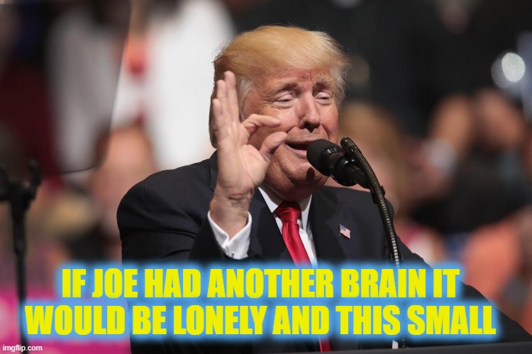 only a little lie | IF JOE HAD ANOTHER BRAIN IT WOULD BE LONELY AND THIS SMALL | image tagged in only a little lie | made w/ Imgflip meme maker