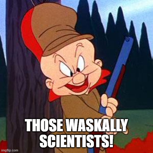 Elmer Fudd | THOSE WASKALLY SCIENTISTS! | image tagged in elmer fudd | made w/ Imgflip meme maker