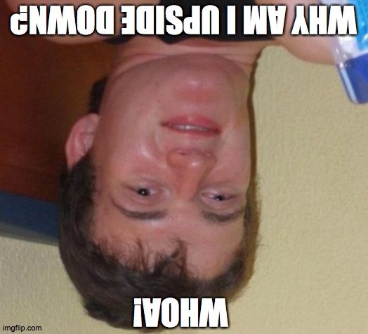 The Upside Down meme! | WHY AM I UPSIDE DOWN? WHOA! | image tagged in memes,10 guy,upside-down | made w/ Imgflip meme maker