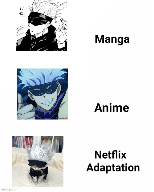 Image tagged in manga anime netflix adaption - Imgflip