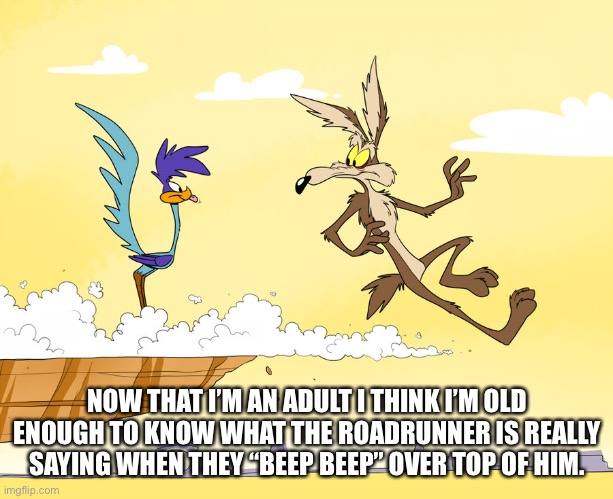 roadrunner & wild e coyote | NOW THAT I’M AN ADULT I THINK I’M OLD ENOUGH TO KNOW WHAT THE ROADRUNNER IS REALLY SAYING WHEN THEY “BEEP BEEP” OVER TOP OF HIM. | image tagged in roadrunner wild e coyote | made w/ Imgflip meme maker