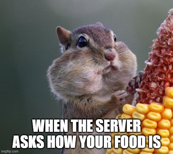 Thanksgiving Squirrel | WHEN THE SERVER ASKS HOW YOUR FOOD IS | image tagged in thanksgiving squirrel | made w/ Imgflip meme maker