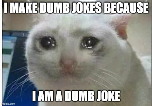 I am a dumb joke | I MAKE DUMB JOKES BECAUSE; I AM A DUMB JOKE | image tagged in crying cat,joke,dumb joke,sad,i am a joke,funny | made w/ Imgflip meme maker