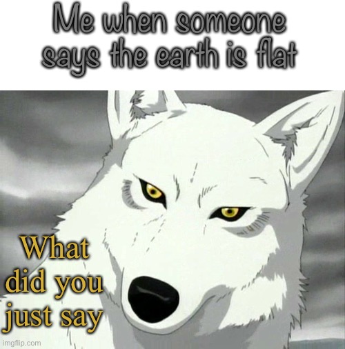 WHY | Me when someone says the earth is flat; What did you just say | image tagged in kiba from wolf's rain | made w/ Imgflip meme maker