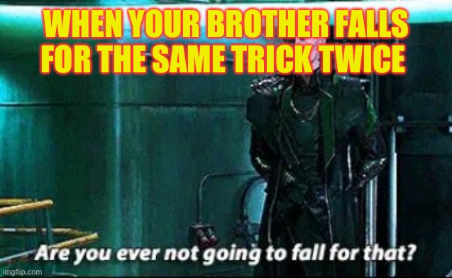 Are you ever not | WHEN YOUR BROTHER FALLS FOR THE SAME TRICK TWICE | image tagged in are you ever not | made w/ Imgflip meme maker