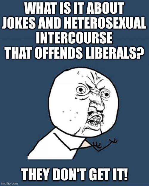 Thanks to ImgflipNoFunZone for the idea | WHAT IS IT ABOUT JOKES AND HETEROSEXUAL INTERCOURSE THAT OFFENDS LIBERALS? THEY DON'T GET IT! | image tagged in memes,y u no | made w/ Imgflip meme maker