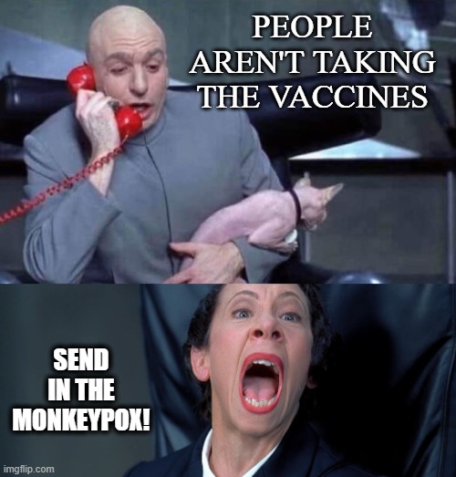 Send in the monkeypox! | PEOPLE AREN'T TAKING THE VACCINES; SEND IN THE MONKEYPOX! | image tagged in dr evil and frau | made w/ Imgflip meme maker