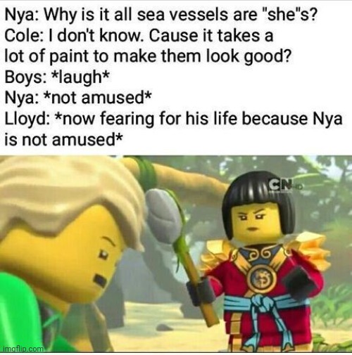 Don't make fun of Nya, otherwise you'll make Lloyd a scapegoat | image tagged in ninjago,lloyd,making fun,nya | made w/ Imgflip meme maker