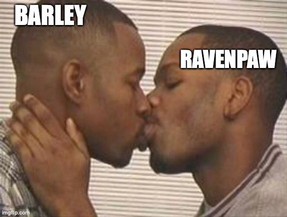 Barley x Ravenpaw forever | RAVENPAW; BARLEY | image tagged in warrior cats | made w/ Imgflip meme maker