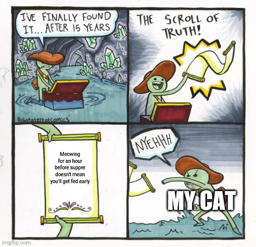 My:oh yes it does (also sorry the words are so small on the scroll) | Meowing for an hour before supper doesn't mean you'll get fed early; MY CAT | image tagged in memes,the scroll of truth,food,cats,meow | made w/ Imgflip meme maker
