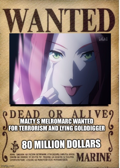 One piece wanted poster template | MALTY S MELROMARC WANTED FOR TERRORISM AND LYING GOLDDIGGER; 80 MILLION DOLLARS | image tagged in one piece wanted poster template | made w/ Imgflip meme maker