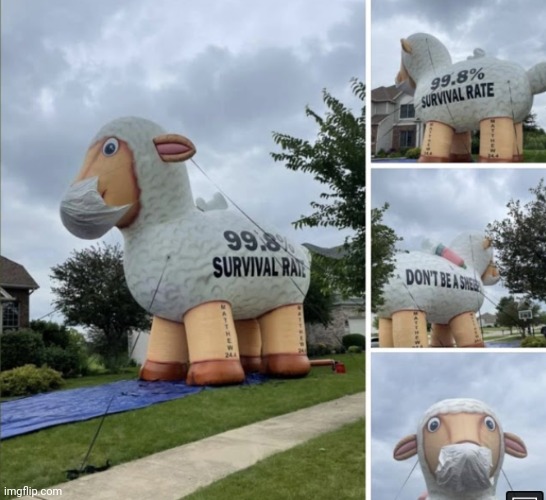 Covid sheep | image tagged in covid sheep | made w/ Imgflip meme maker