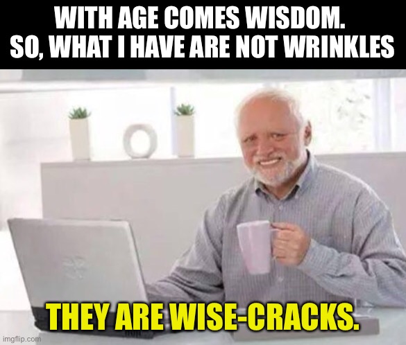 Wise | WITH AGE COMES WISDOM.  SO, WHAT I HAVE ARE NOT WRINKLES; THEY ARE WISE-CRACKS. | image tagged in harold | made w/ Imgflip meme maker