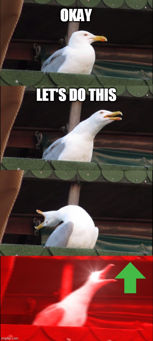 Inhaling Seagull | OKAY; LET'S DO THIS | image tagged in memes,inhaling seagull | made w/ Imgflip meme maker