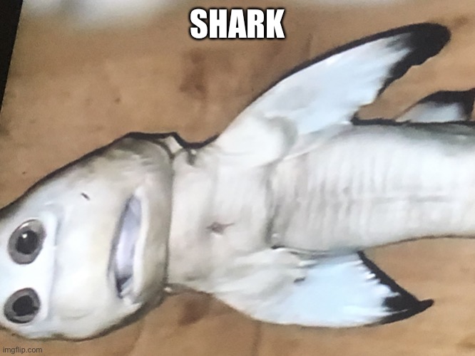 Sherk | SHARK | image tagged in sherk | made w/ Imgflip meme maker