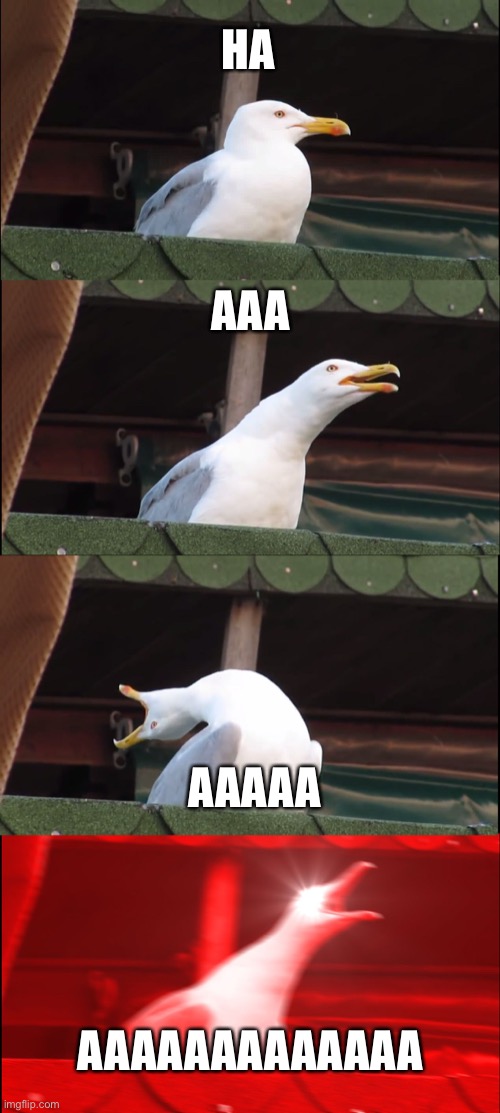 Inhaling Seagull Meme | HA AAA AAAAA AAAAAAAAAAAAA | image tagged in memes,inhaling seagull | made w/ Imgflip meme maker