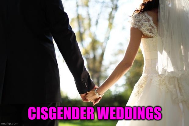 wedding | CISGENDER WEDDINGS | image tagged in wedding | made w/ Imgflip meme maker