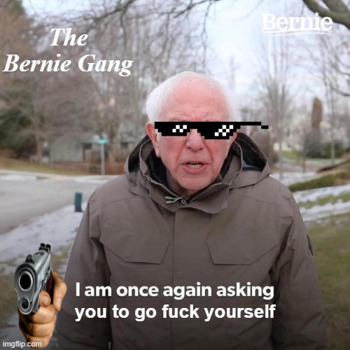 The Bernie Gang | The Bernie Gang; you to go fuck yourself | image tagged in memes,bernie i am once again asking for your support | made w/ Imgflip meme maker