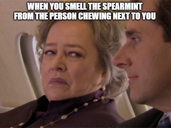  WHEN YOU SMELL THE SPEARMINT FROM THE PERSON CHEWING NEXT TO YOU | image tagged in the office,waterboy kathy bates devil,michael scott | made w/ Imgflip meme maker