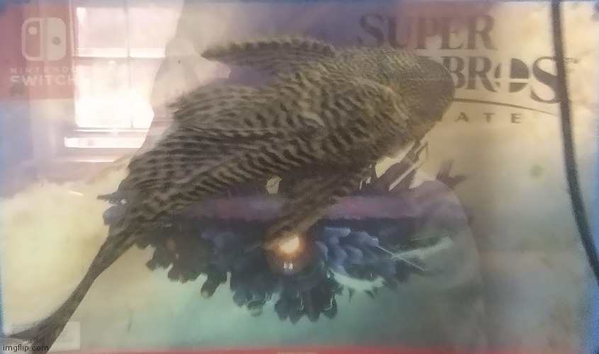 *eats smash bros* | made w/ Imgflip meme maker