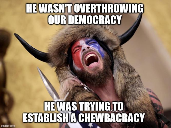 Please curb your dog... | HE WASN'T OVERTHROWING
OUR DEMOCRACY; HE WAS TRYING TO ESTABLISH A CHEWBACRACY | image tagged in qanonsense | made w/ Imgflip meme maker