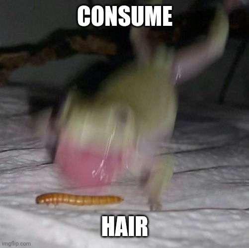 consumption frog | CONSUME HAIR | image tagged in consumption frog | made w/ Imgflip meme maker