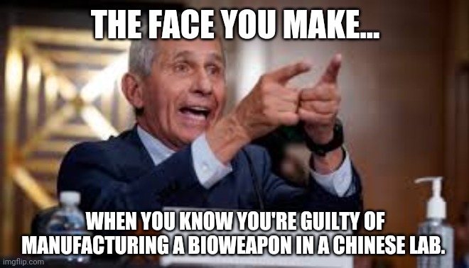 Treason, conspiring with the enemy, and fraud. | THE FACE YOU MAKE... WHEN YOU KNOW YOU'RE GUILTY OF MANUFACTURING A BIOWEAPON IN A CHINESE LAB. | image tagged in memes | made w/ Imgflip meme maker