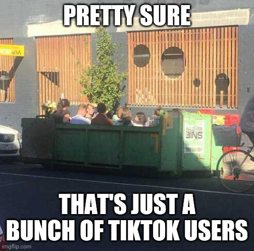 HANGING OUT IN A TRASH HOPPER | PRETTY SURE; THAT'S JUST A BUNCH OF TIKTOK USERS | image tagged in tiktok,tiktok sucks,trash,trash can | made w/ Imgflip meme maker